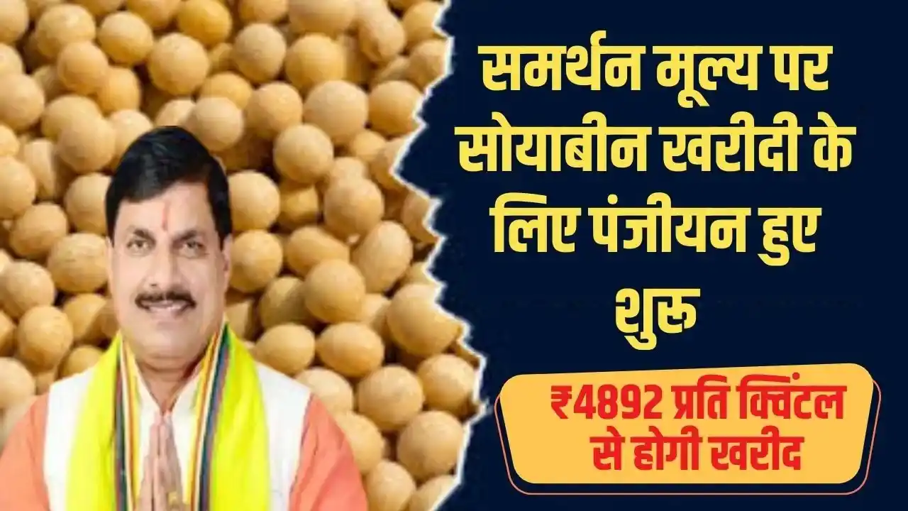 Soyabean MSP Madhya Pradesh