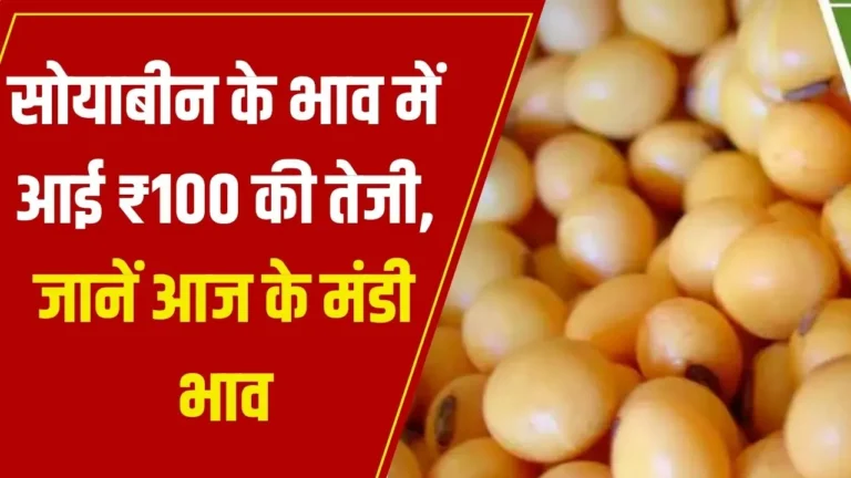 Soyabean Mandi Rate Today