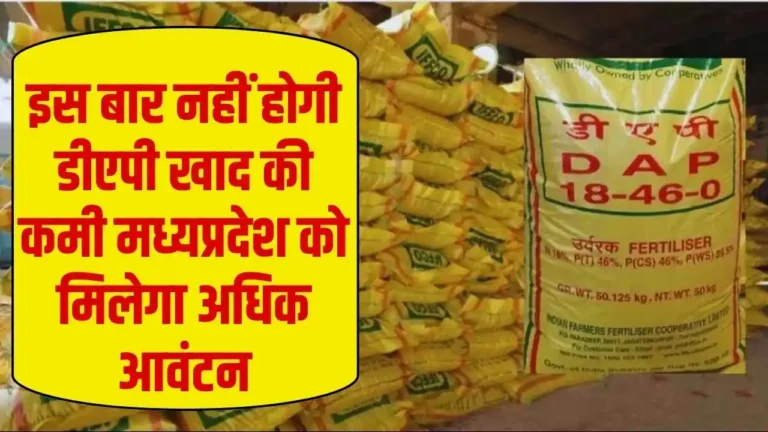 This time, there will be no shortage of DAP fertilizer; Madhya Pradesh to receive higher allocation.